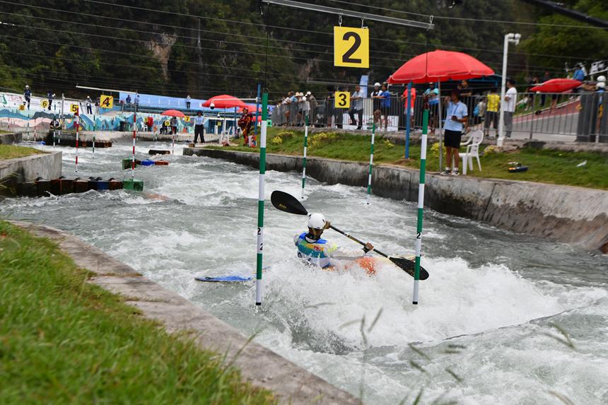 msn, div, tenan msn, div, tenan