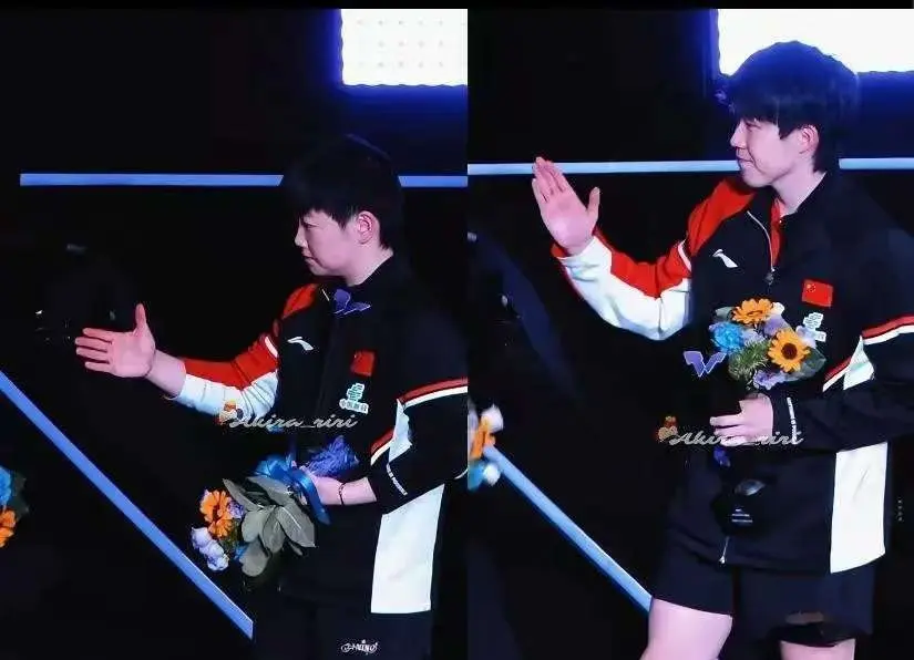 王楚钦回来, 的全是硬签