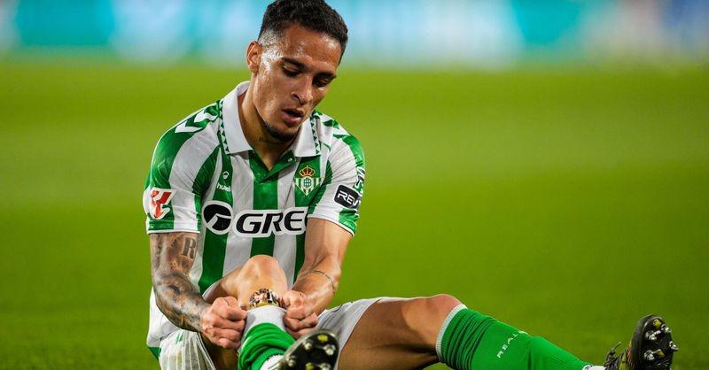 转载, 安东尼开出 转载, 安东尼开出