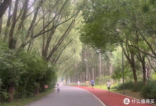 力重新灌注, 姿态, 终将在与自